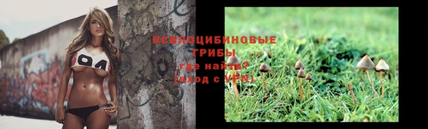прущие грибы Алексеевка