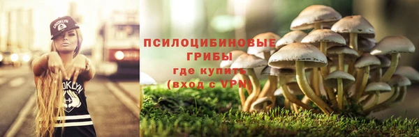 прущие грибы Алексеевка
