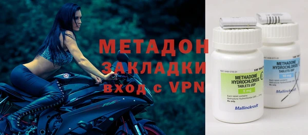 прущие грибы Алексеевка