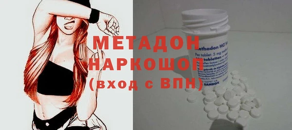 прущие грибы Алексеевка